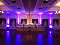 Uplighting (Theme Lighting) Purple